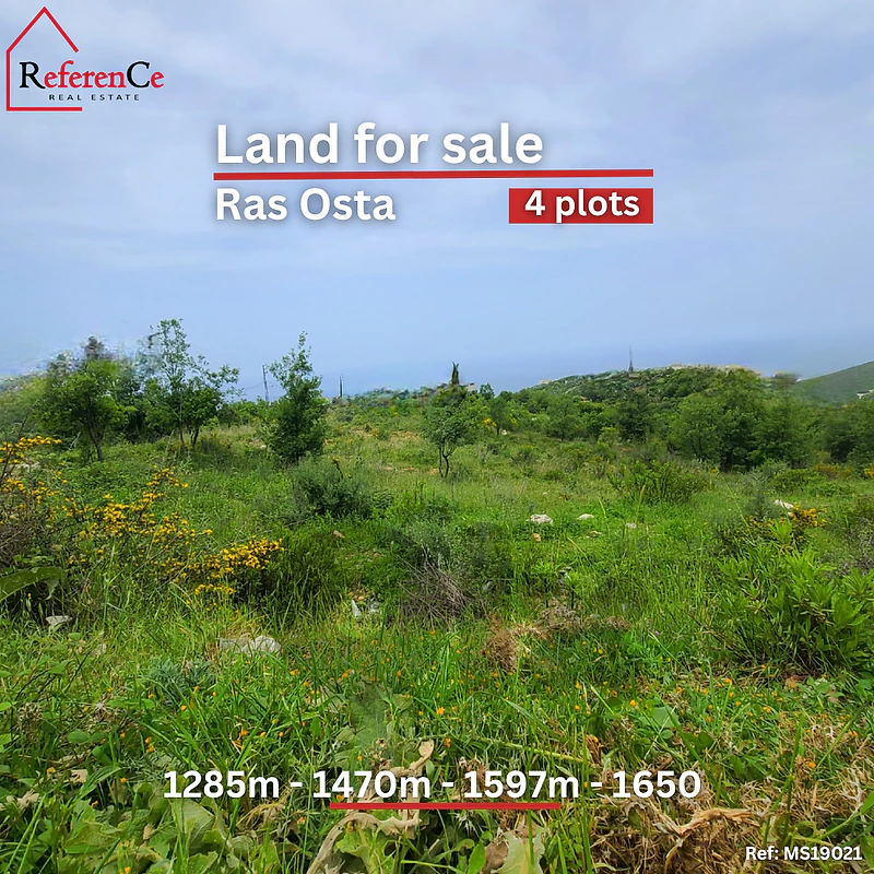 4 plots lands in Ras osta for sale أربع قطع أراضٍ للبيع في رأس أوستا