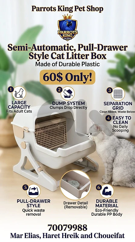 Semi-Automatic Cat lItter box