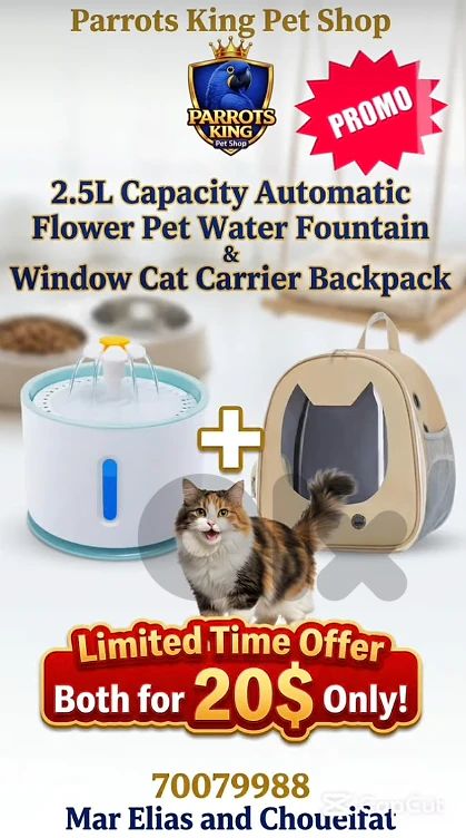 Automatic pet water fountain + window pet carrier backpack