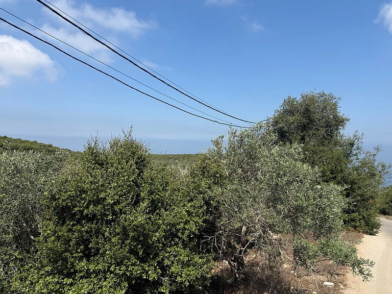 land for sale kelhat