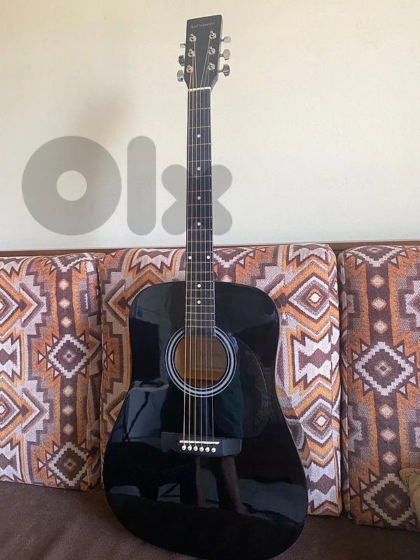 Karl Schneider Acoustic Guitar + Bag