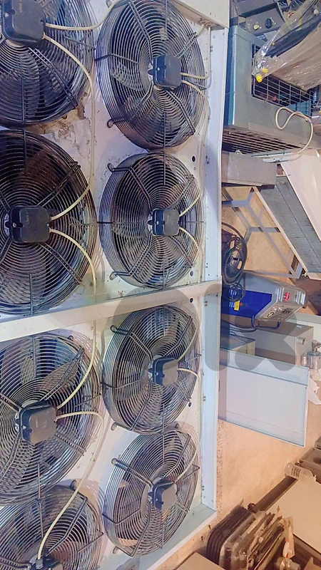 البقاع تعنايل