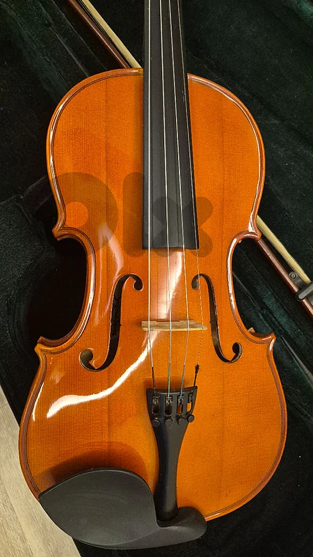 Viola 15.75" Signature