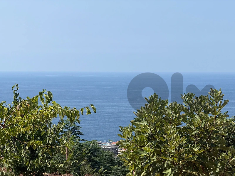 🏞️ Land for Sale in Safra – Full Sea View – $100/sqm 🏞️ Land for Sale in Safra – Full Sea View – $100/sqm