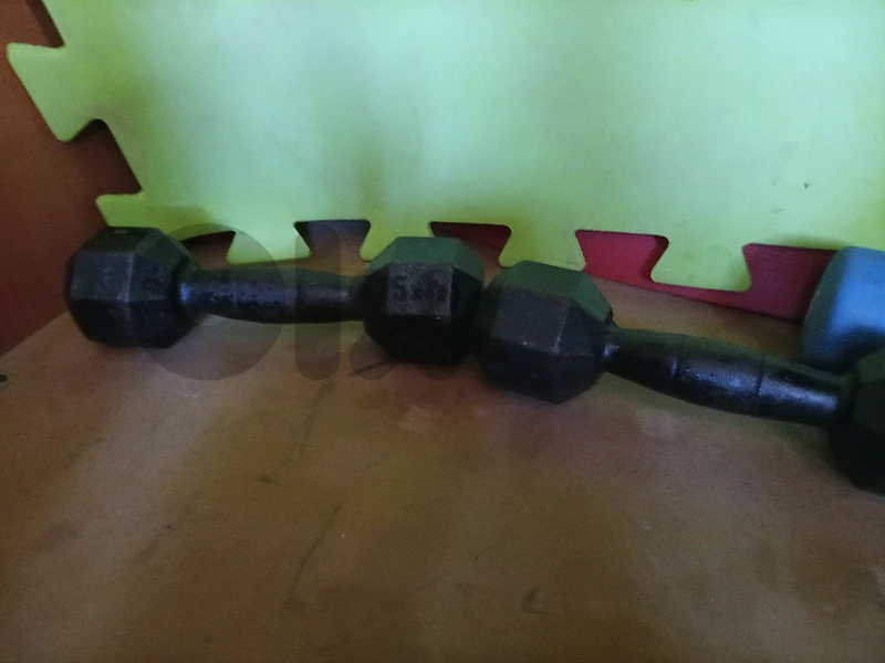 dumbles body building equipments