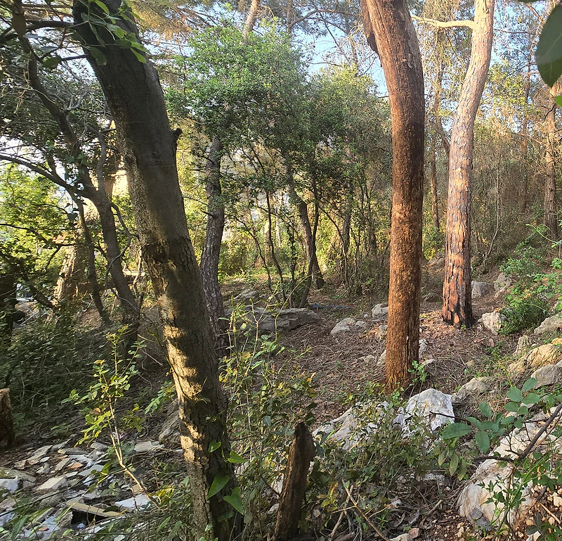 Land for Sale In Hbous | Prime Locationأرض للبيع في حبوس | موقع متميز