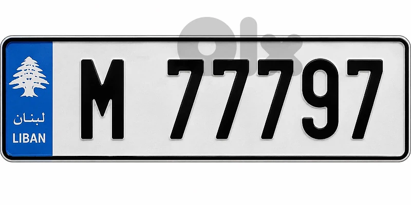 Special Car Plate 77797