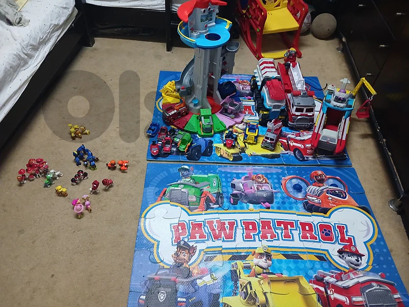 paw patrol