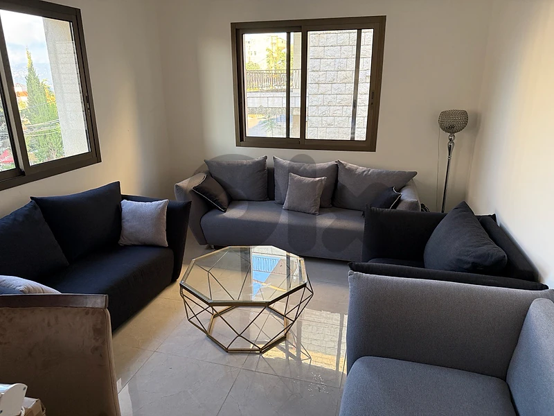 salon for sale due to travel very good condition