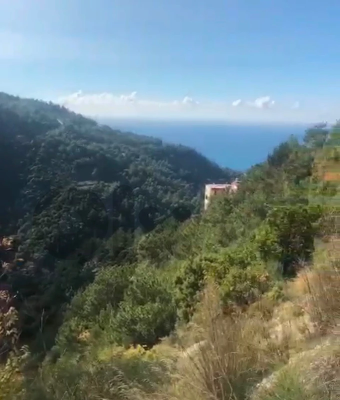 Land for sale in Blat, Jbeil