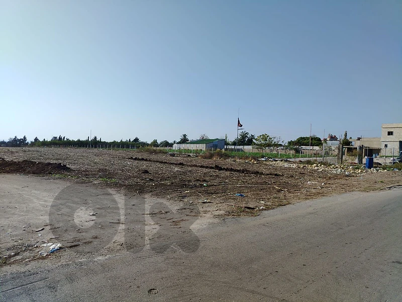 land at loubie beside saida