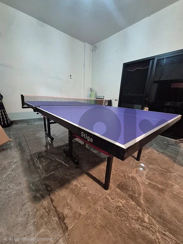 ping pong table