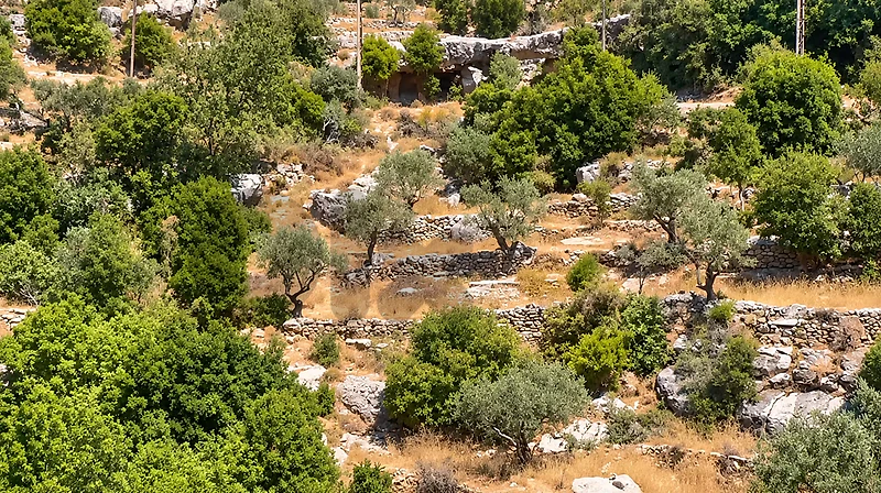 Land for Sale in Nehla, Batroun أرض للبيع في نحلا، البترون