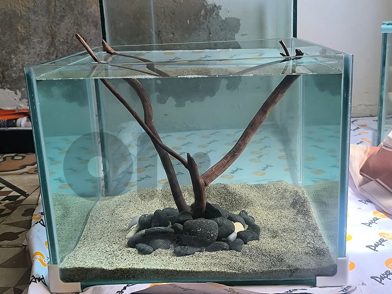 aquariums for sale ، اكورايومات للبيع بارخص سعر