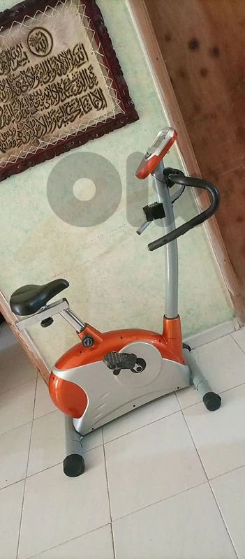 غزة البقاع الغربي