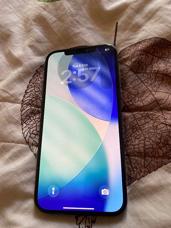 12 pro max