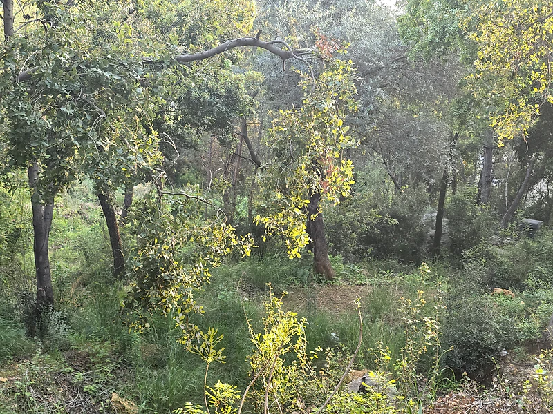 Land for Sale in Hbous, Cornet Chehwan–Prime Locationأرض للبيع في حبوس