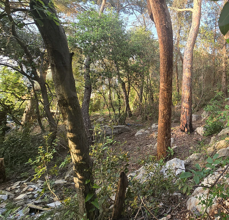 Land for Sale in Hbous, Cornet Chehwan–Prime Locationأرض للبيع في حبوس