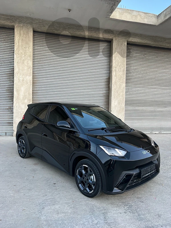 BYD Other 2027 81822408 BYD Other 2027 81822408