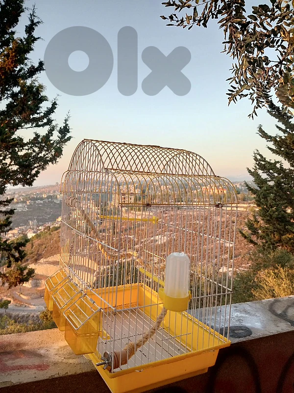 birds cages قفص عصافير birds cages قفص عصافير