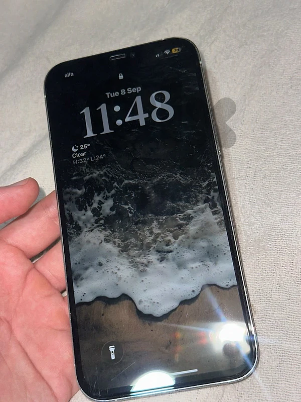 12 pro max