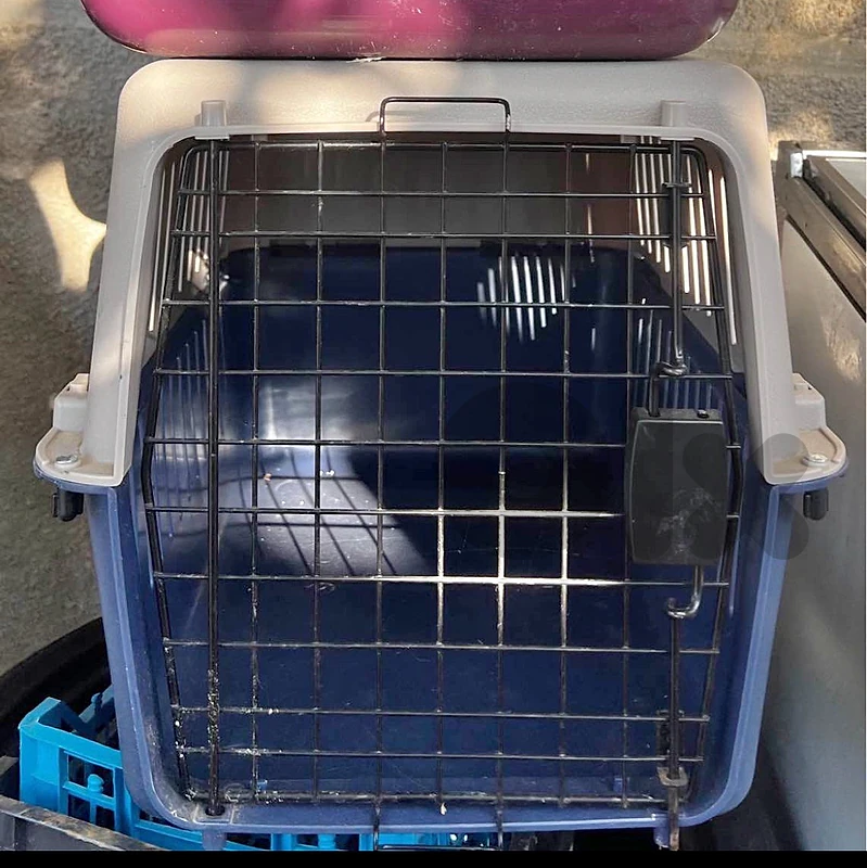 pet carrier