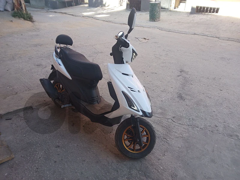 V 150 model 2025