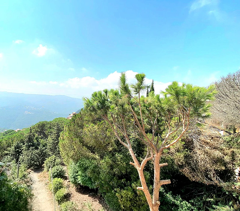 Apartment for sale in Broumana/ Amazing view