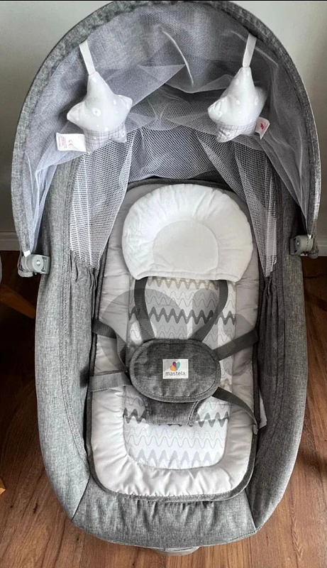 electric swing bouncer