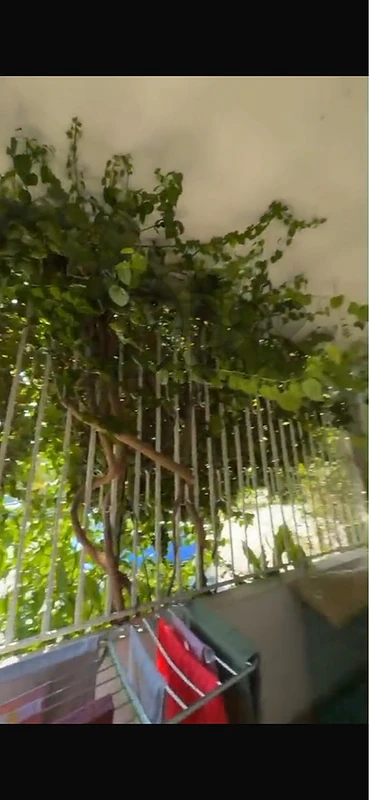 Ground floor modern 150m 3Bedroom+ Parking Kahale Baabda Bsous