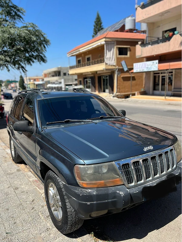 Jeep Cherokee 2001 2001 lok 2004