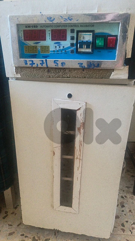 فقاسة بيض اوتوماتيك مع قلاب ، فقاسة سعة ٢١٦ بيضة