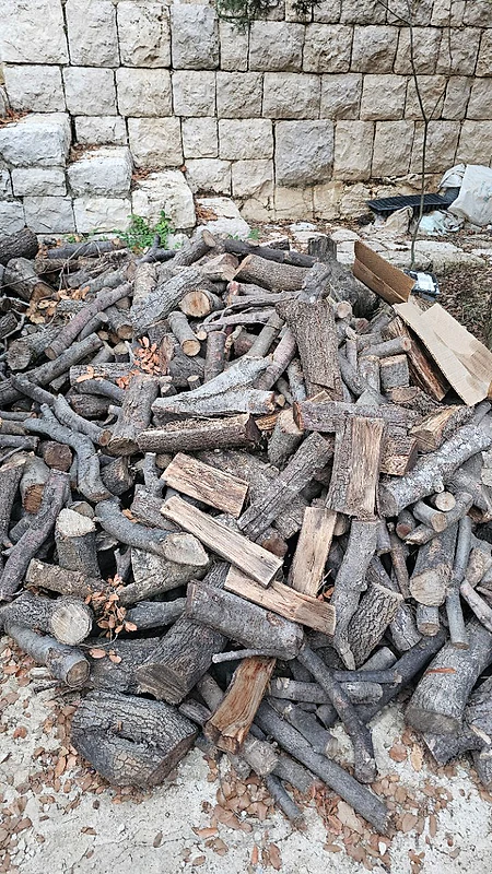 حطب سنديان oak wood
