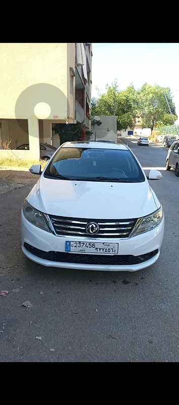DongFeng MN-V 2017 A30