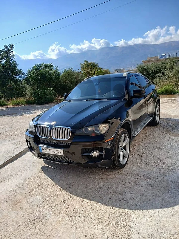 Bmw x6	2010