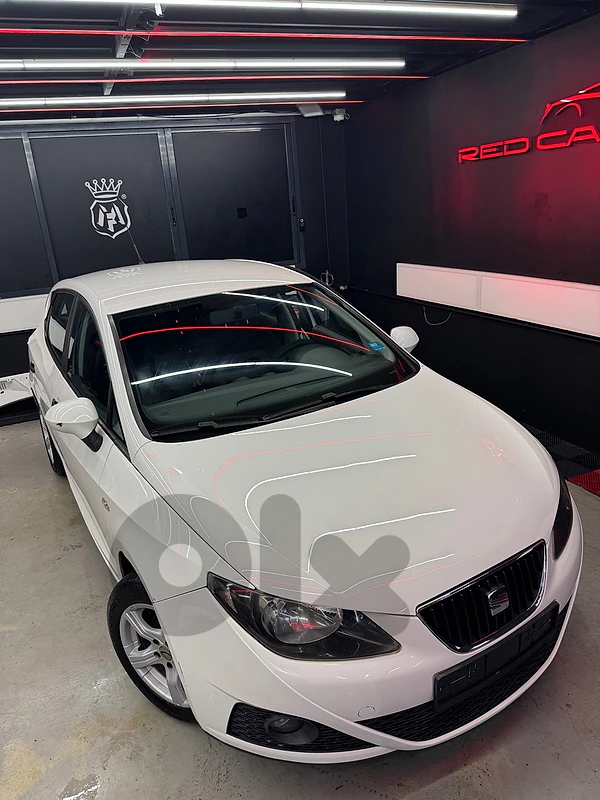 Seat Ibiza 2010 2010