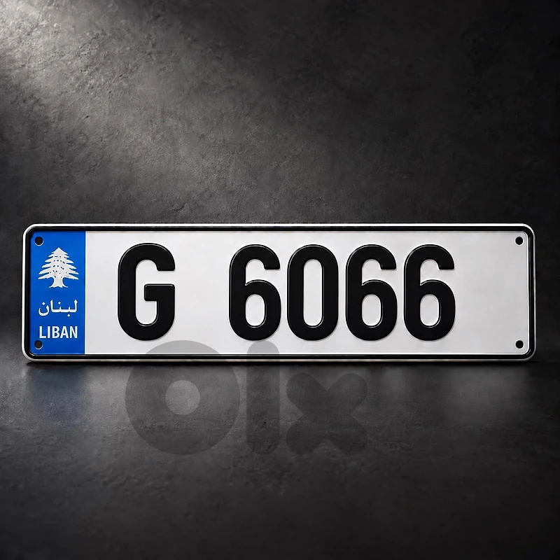 4 digits plate number