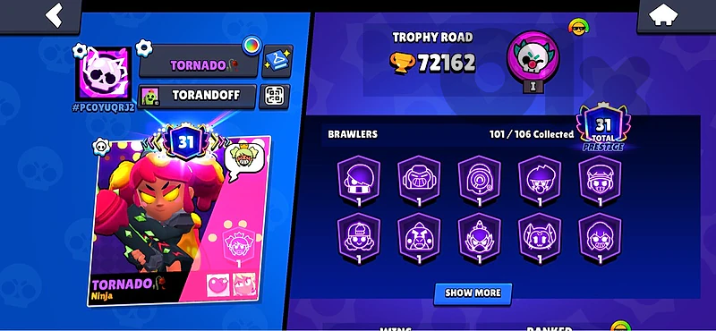 brawl stars account for sale 100$