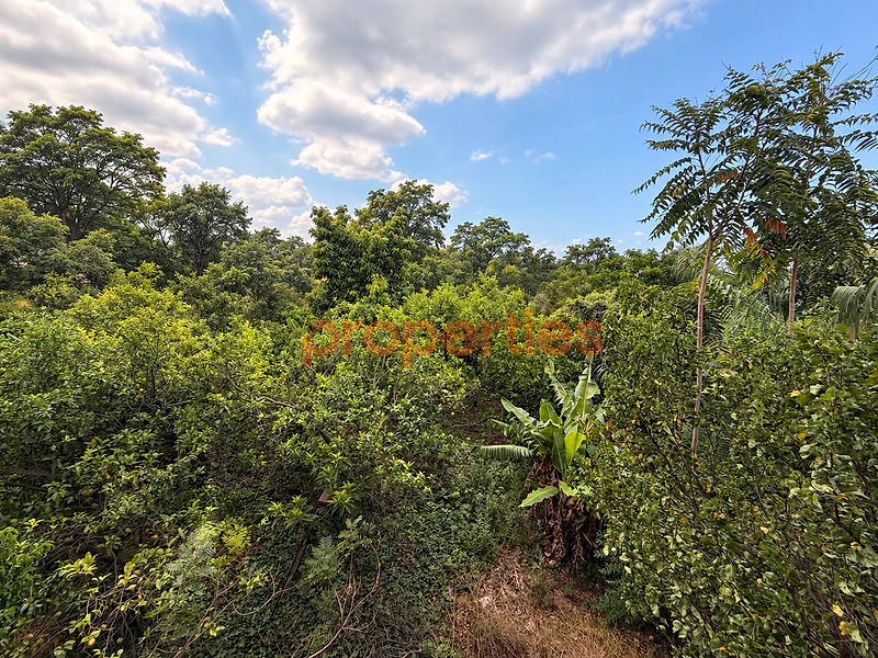 Commercial Property with Stand-Alone House & Land for Rent CPLO60