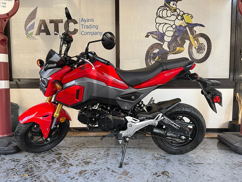 honda groom new