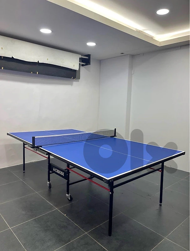 ping pong table