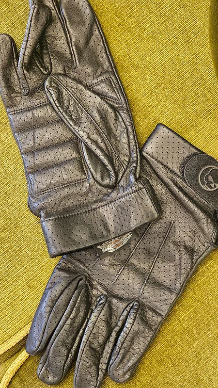 harley davidson helmet and gloves
