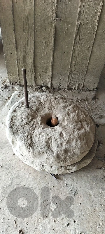 جاروش قمح