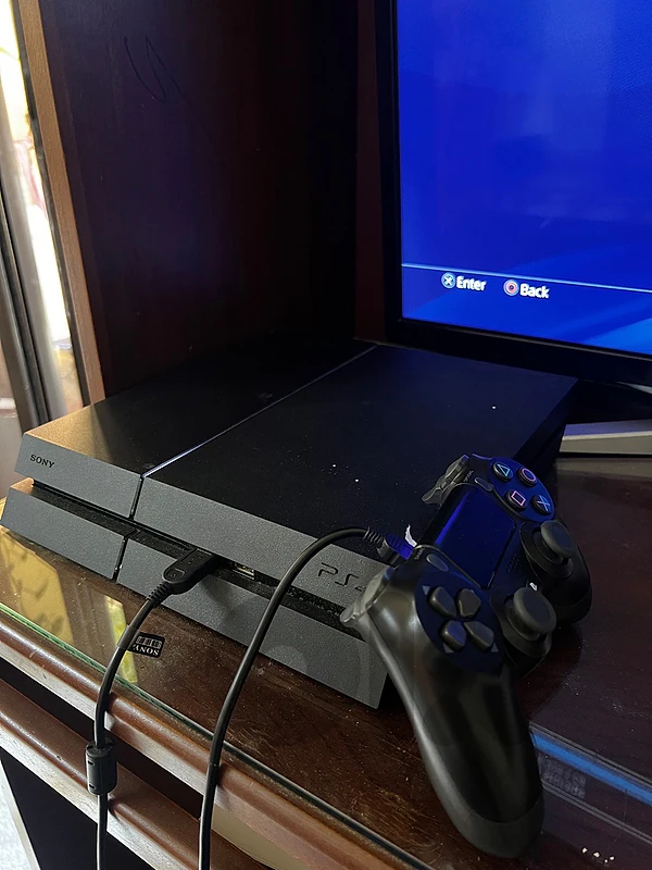 PS4 Fat
