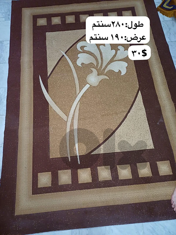 سجاد بني