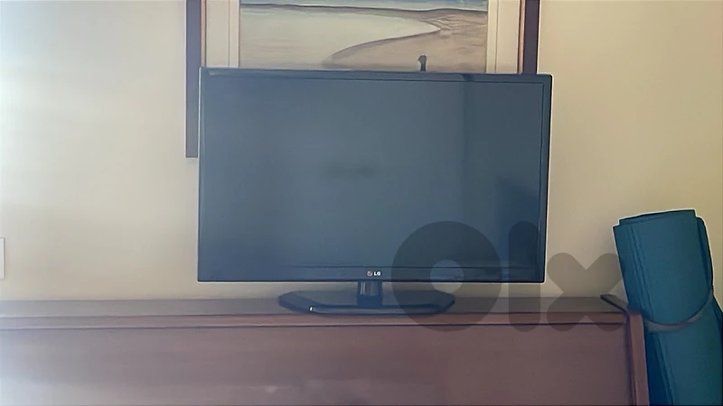 LG tv 30 inch