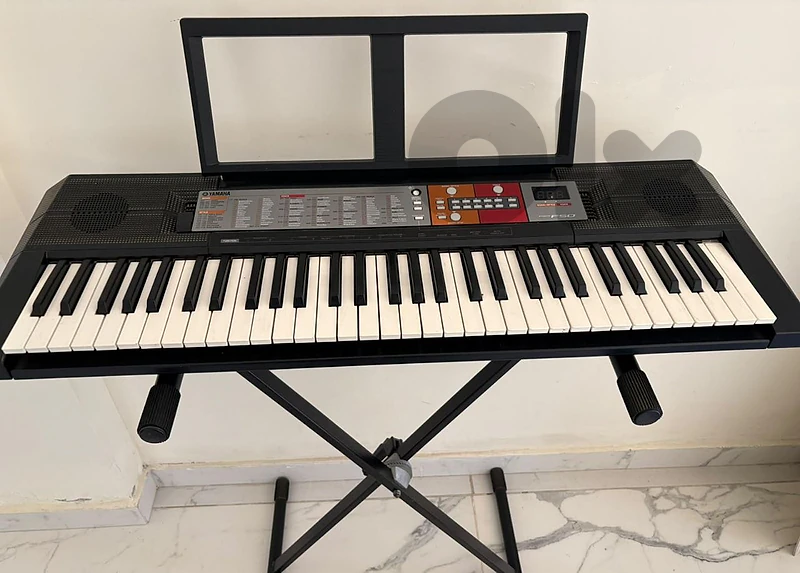 Organ Instrument
