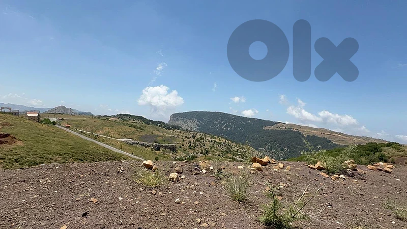 catchy land for sale In Tannourine Only 130,000$