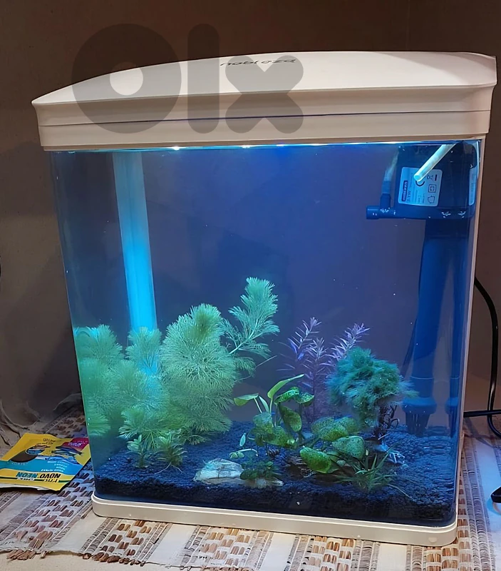 Aquarium