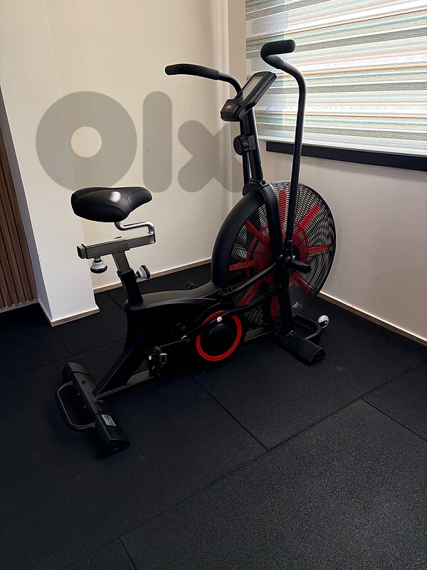Professional AIR Bike with Resistance level